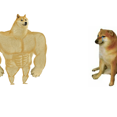 強壯柴犬對虛弱柴犬