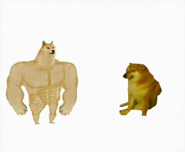 壯狗 vs 弱狗 - 肌肉柴與虛弱柴