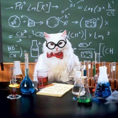 化學貓---科學雙關語