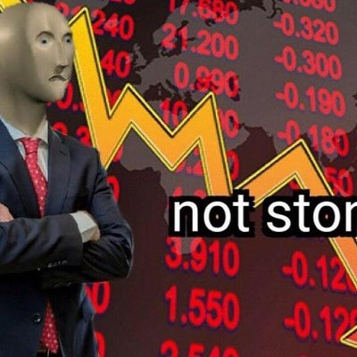 迷因人 - not stonks 慘賠下跌
