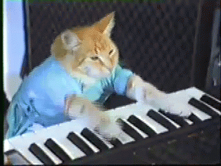 鍵盤貓 Keyboard Cat