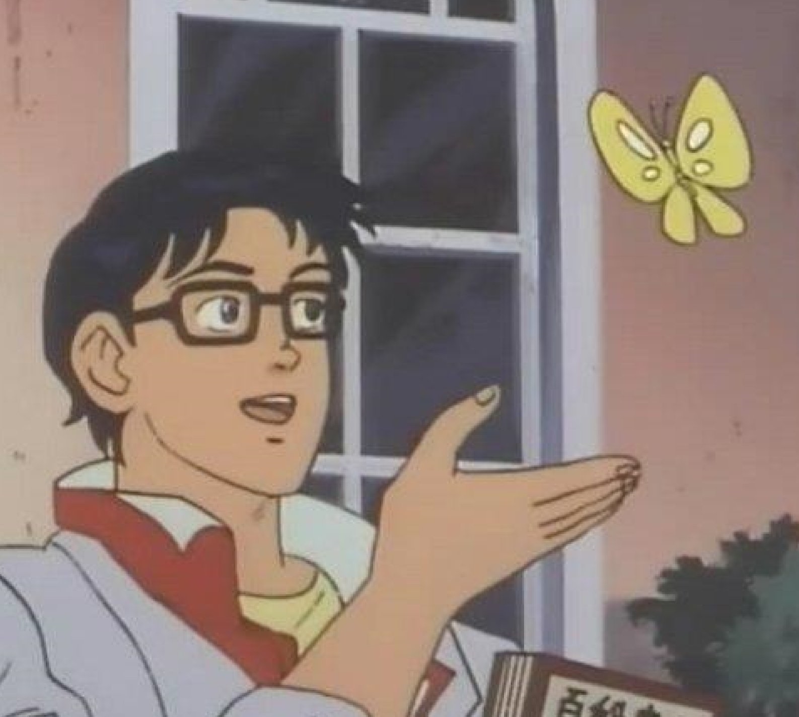 這是蝴蝶嗎