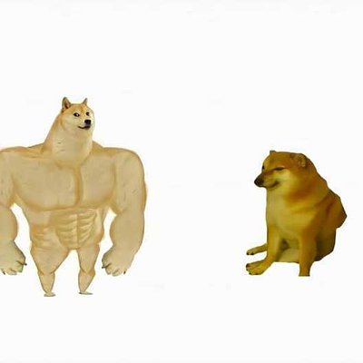 壯狗 vs 弱狗 - 肌肉柴與虛弱柴