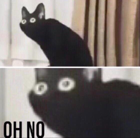 黑貓 OH NO - 驚覺大事不妙