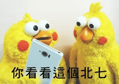你看看這個北七