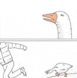 被鵝追跑
