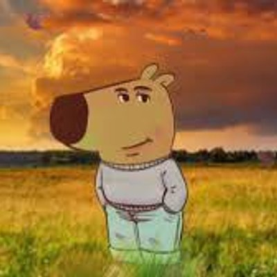 Chill Guy 淡定狗