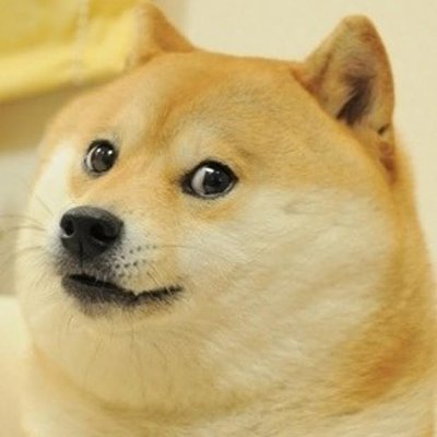 柴犬Doge