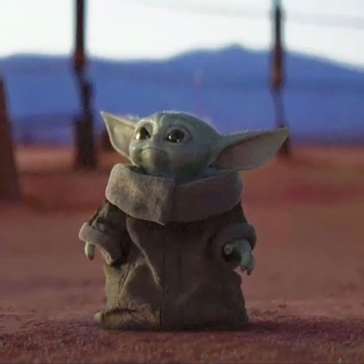 尤達寶寶 Baby Yoda