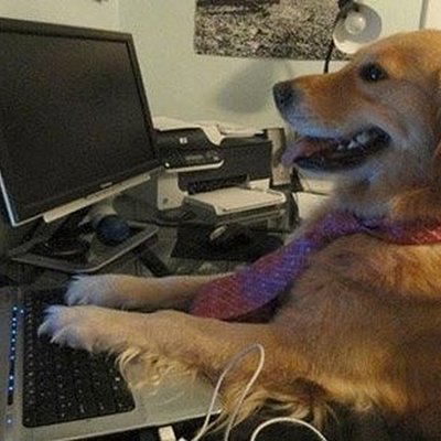 狗狗工程師 - 完全不知道在做什麼