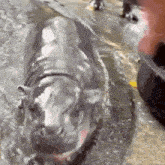 摸棟被水噴