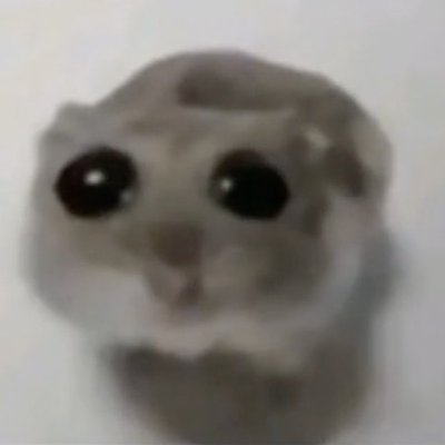 悲傷倉鼠