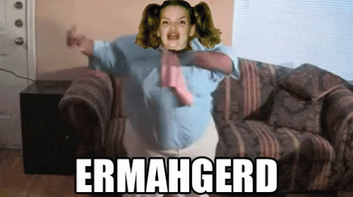 ERMAHGERD - 興奮到語無倫次