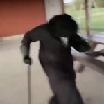 瘟疫醫生 - 帥氣登場