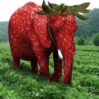 Strawberry Elephant - 草莓大象