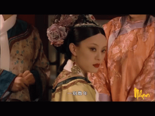 甄嬛傳 - 一別數年回眸