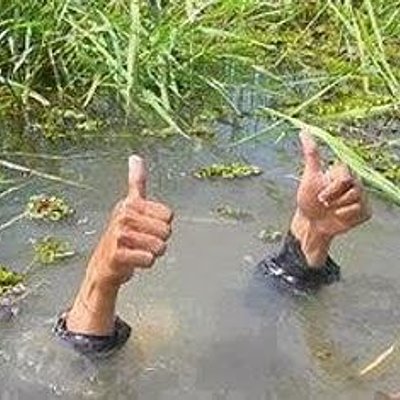 泡水比讚 - 苦中作樂一切正常