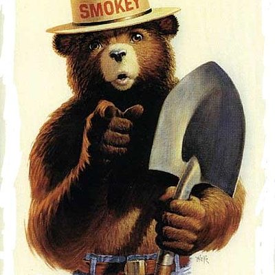防火熊 - 只有你能防止森林大火