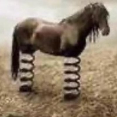 Cavallo Primavera - 彈簧腿馬