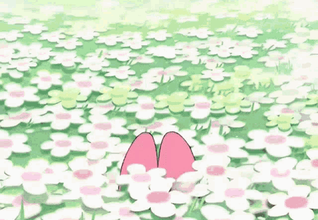 美樂蒂 - 從花叢開心探頭