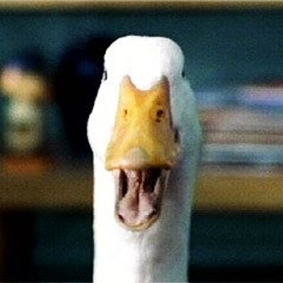 Aflac - 鴨子大聲插嘴