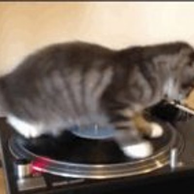 唱盤貓 - DJ 打碟 (Spinning Cat)