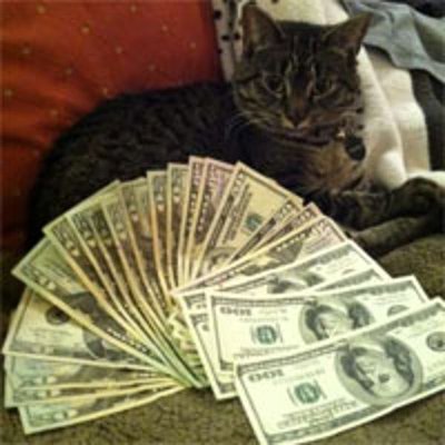 CashCats - 貓咪炫富