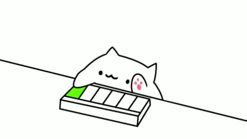 邦戈貓 - 瘋狂敲打鍵盤