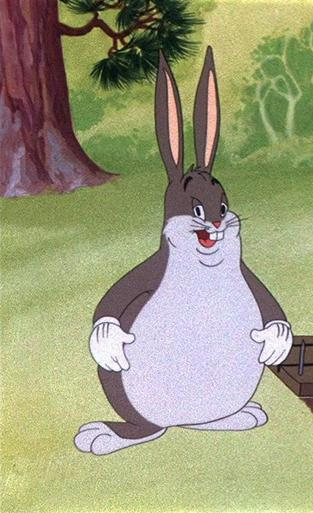 大胖兔 Big Chungus - 塊頭超標兔寶寶
