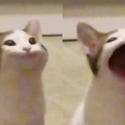 砰砰貓 Pop Cat - 開口秒變大嘴